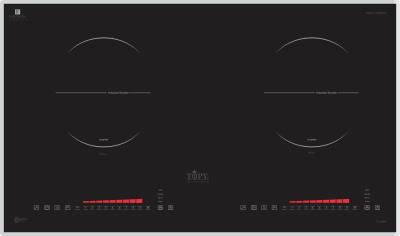 Bếp 2 từ Topy TP-A55 PlUS